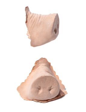 PXP Latex varkensneus