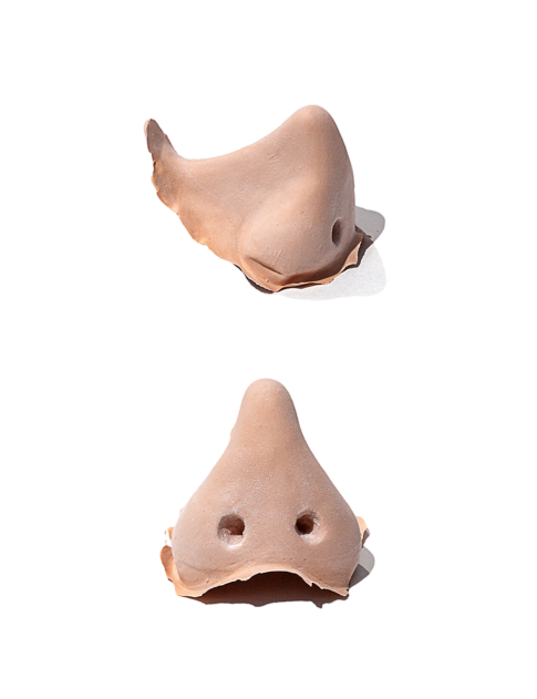 PXP Latex Wipneus