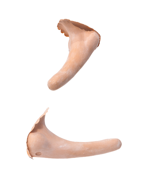 PXP Latex Lange Neus