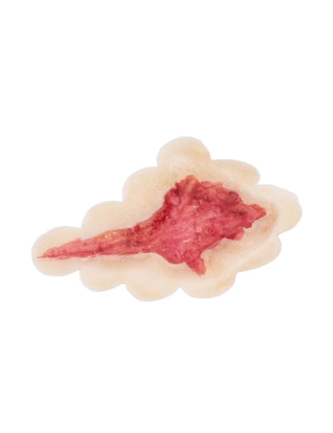 Grimas Open Wond | Latex Prosthetic wound