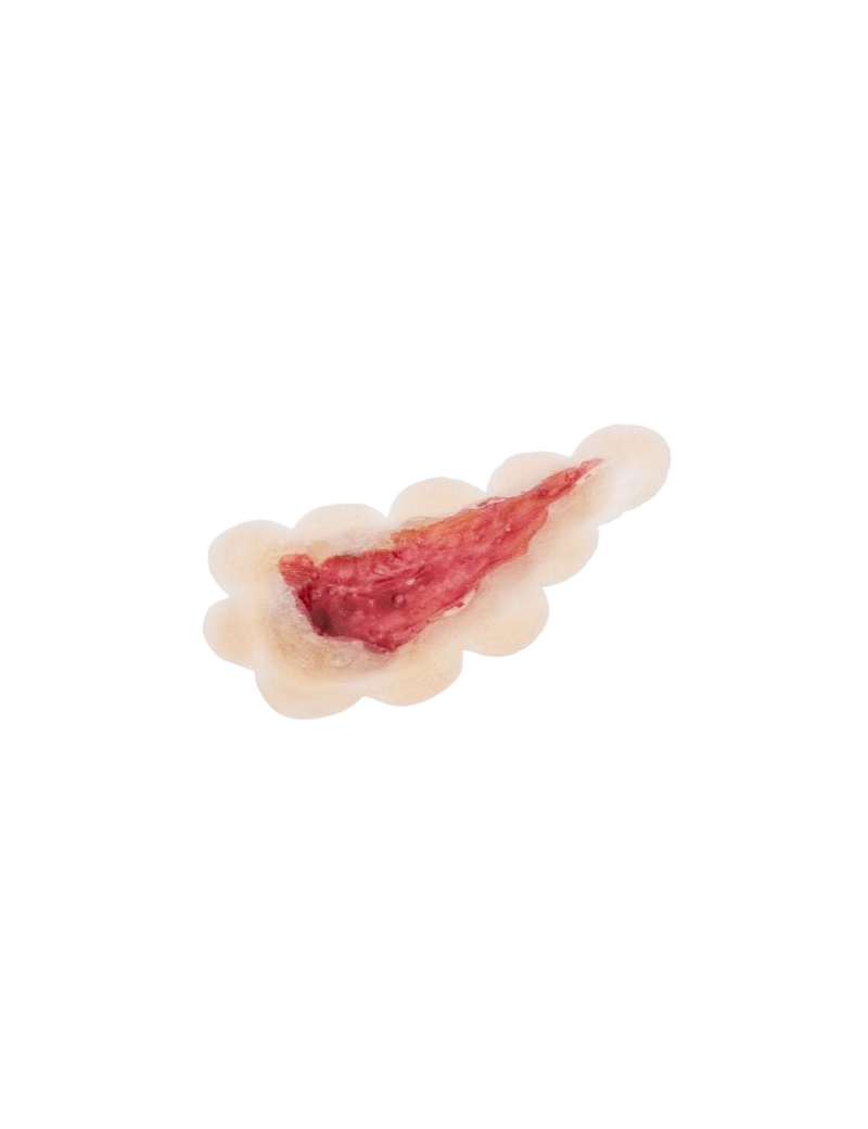 Grimas Open Wond | Latex Prosthetic wound 806