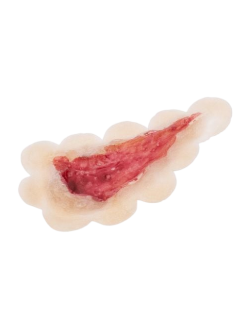 Grimas Open Wond | Latex Prosthetic wound 806